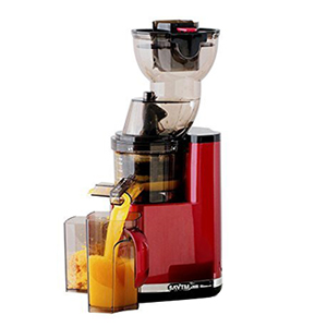 Máy ép chậm SAVTM JE-35