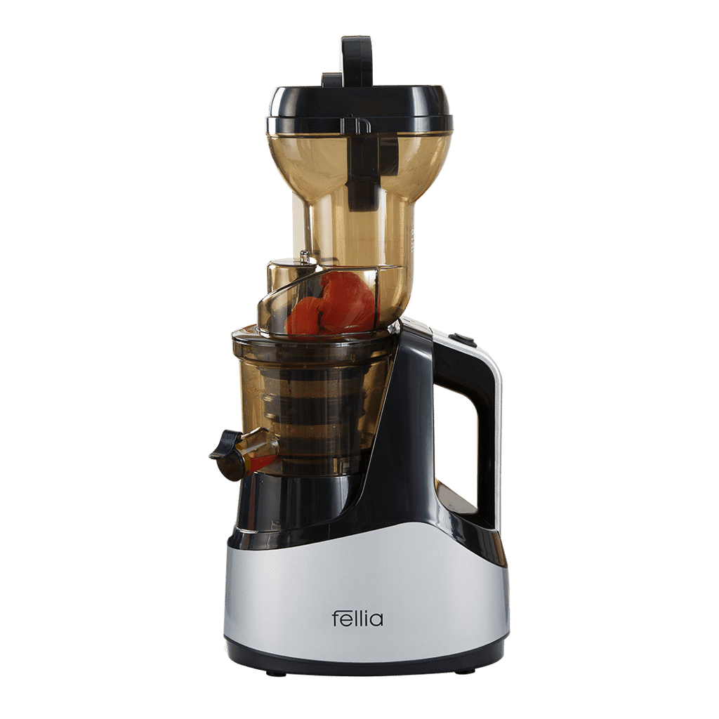 Top máy ép trái cây tốc độ chậm 1